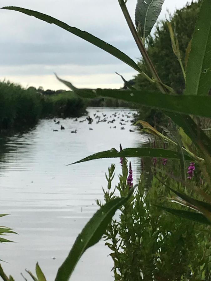 Вилла Iris'T; Dijkhuisje In De Polders Van Groede. Экстерьер фото